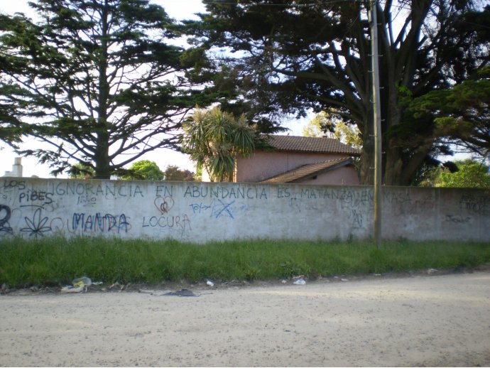 Ignorancia en abundancia es matanza en masa