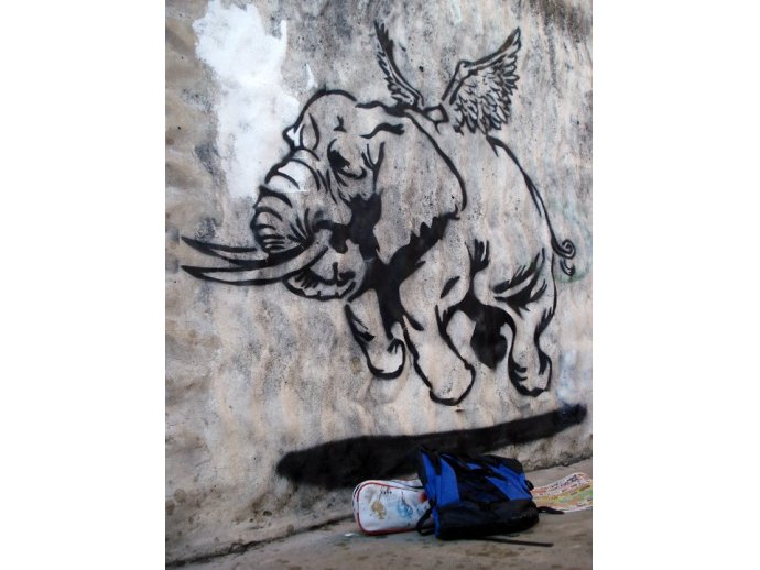 Este Elefante lo hice en Moreno, en la casa de mi hermana y es el primer graffiti de gran tamaño , espero les guste.