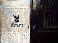 Playmate