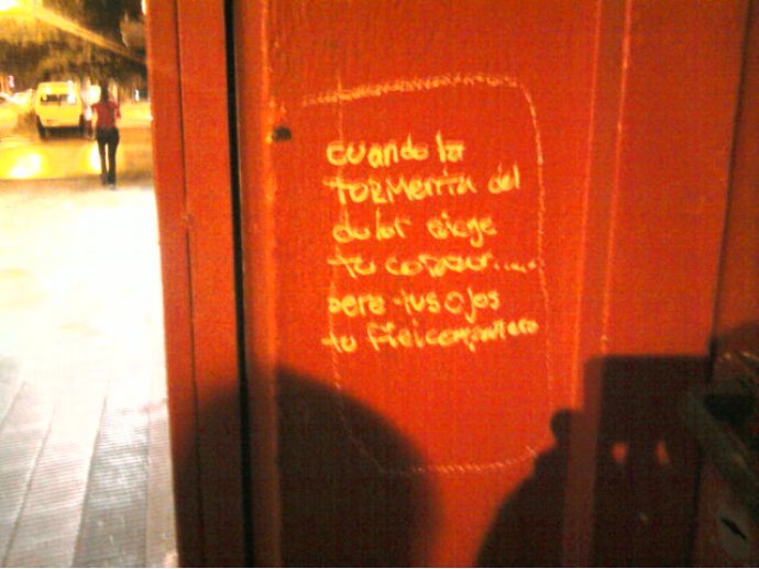 Cuando la tormenta del dolor ciegue tu corazón seré tus ojos tu fiel compañero