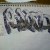 Ubicación del Grafiti