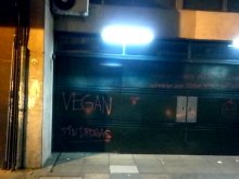 vegan sin drogas