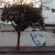 Ubicación del Grafiti