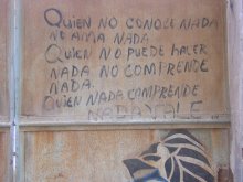 Quien no conoce nada, no ama nada. Quien no puede hacer nada, no comprende nada. Quien nada comprende, nada vale.