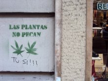 Las plantas no pecan - Tú sí!!!