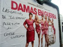 Damas en guerra - Las gatitas de 