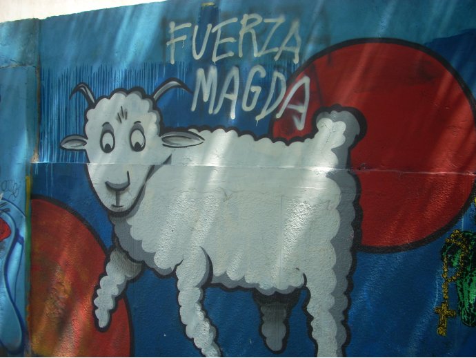 Fuerza Magda