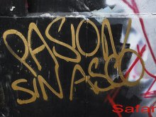 Pasion sin Asco