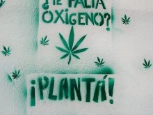 ¿TE FALTA OXIGENO? ... PLANTÀ!!!