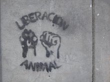 Liberación animal.