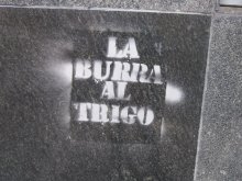 La burra al trigo