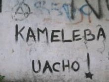 escucha kameleba uacho!