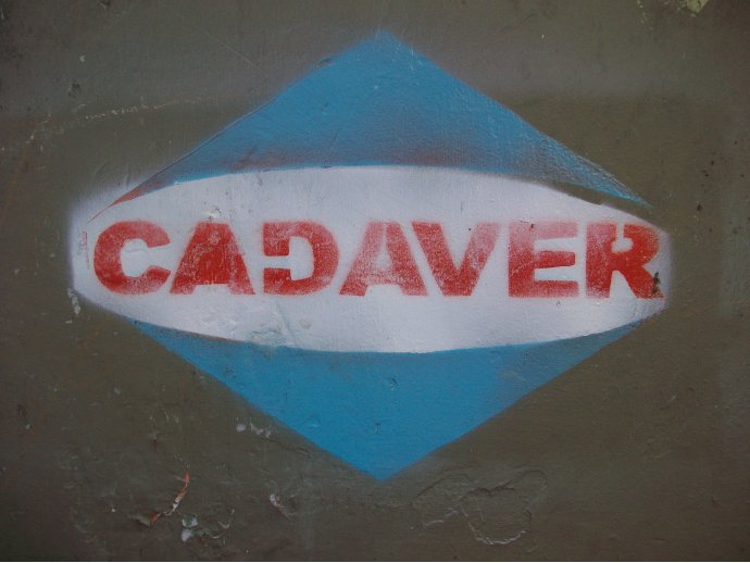 Cadaver