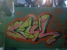 GUL GRAFF