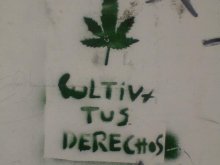 Cultiva tus derechos