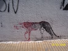 Felinos sueltos en Lanus