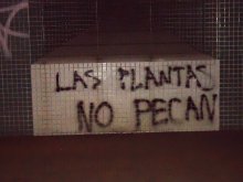 Las plantas no pecan