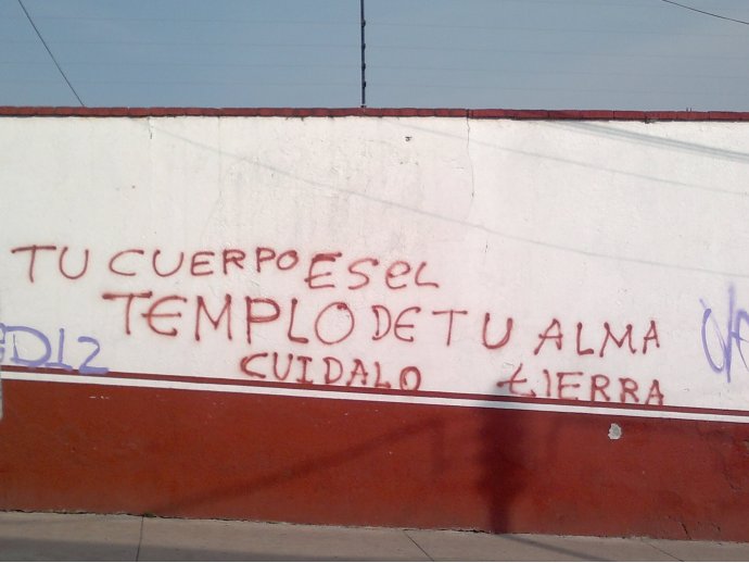 Tu Cuerpo es el Templo de tu Alma, Cuídalo... Tierra