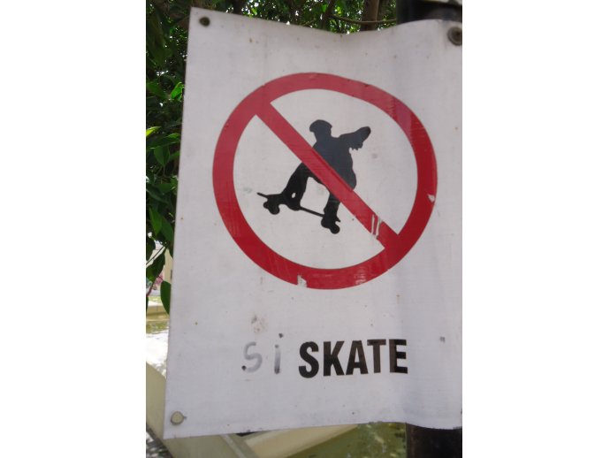 Sí skate