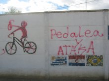 Pedalea y ataka