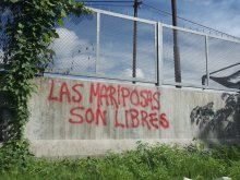 las mariposas son libres