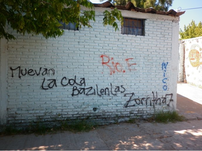 muevan la cola bazilenlas zorrithaz