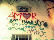 Amor en nuestro corazón de  animal humano