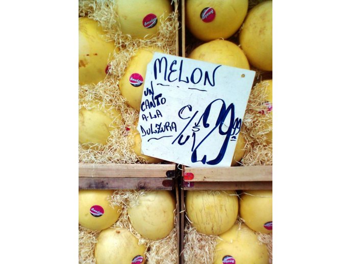 Melón, un canto a la dulzura