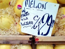 Melón, un canto a la dulzura