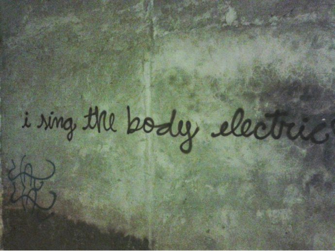 i sing the body electric