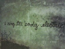 i sing the body electric