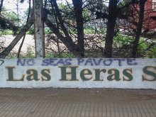 no seas pavote