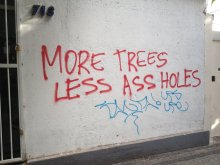 More trees less ass holes