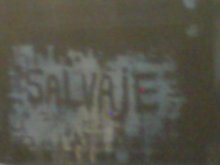 Salvaje.