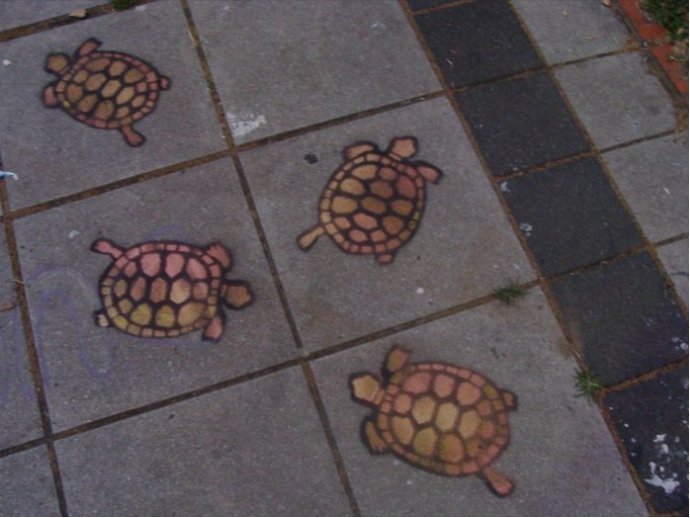 Tortugas frente a Tribunales en Rosario