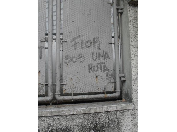 Flor sos una ruta