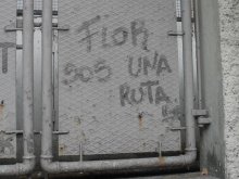 Flor sos una ruta