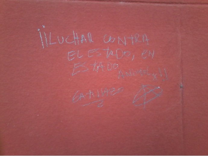 Luchar contra el estado , en estado animal!!