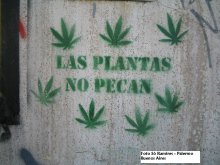 Las plantas no pecan