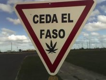 Ceda el Faso