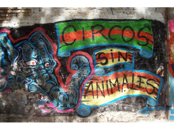 Circos sin animales