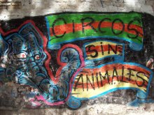 Circos sin animales