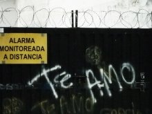 Te amo, te amo