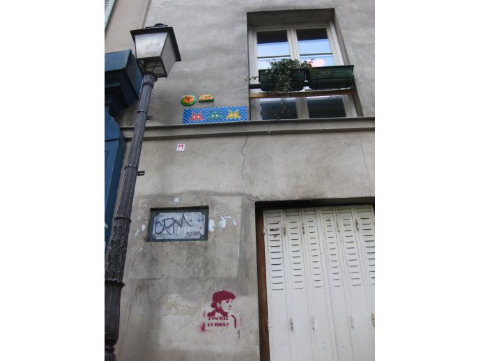 J\'oscille et vous? (Yo dudo, ¿y usted?)