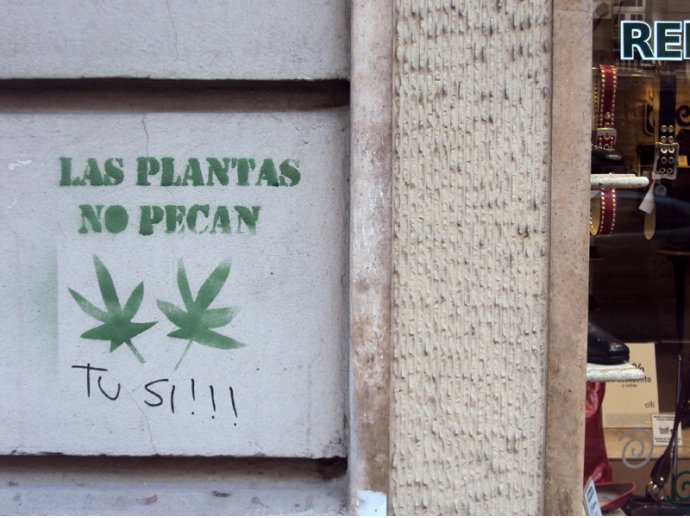 Las plantas no pecan - Tú sí!!!