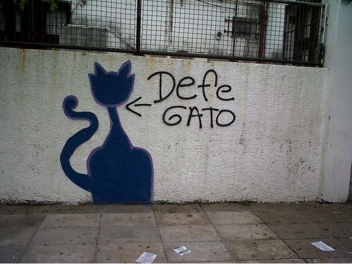 DEFE GATO-