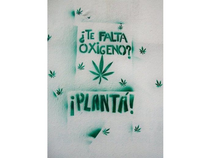 ¿TE FALTA OXIGENO? ... PLANTÀ!!!