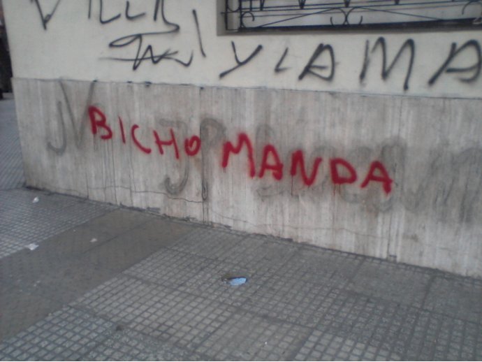 Bicho manda