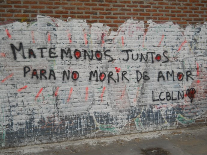 Matémonos juntos para no morir de amor (LCBLN)