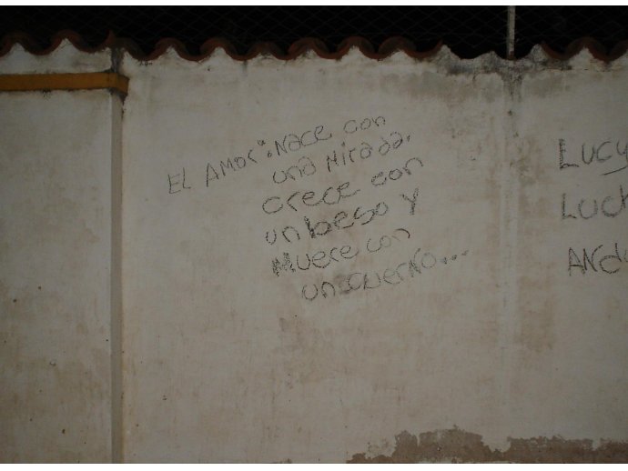 El Amor: Nace con una mirada, crece con un beso y muere con un cuerno...